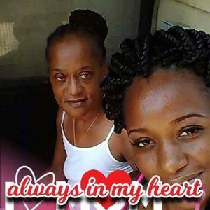 Meet your Posher, Lena cat